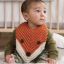 Finley the Fox Bib