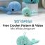 Whale Crochet Pattern
