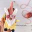 Crochet Easter Gnome