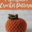 Crochet Textured Pumpkin